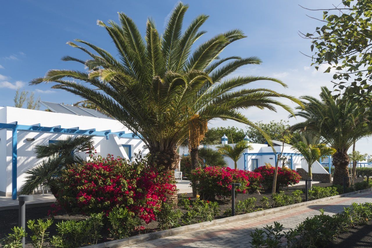 Elba Lanzarote Royal Village Resort Плая Бланка Екстериор снимка